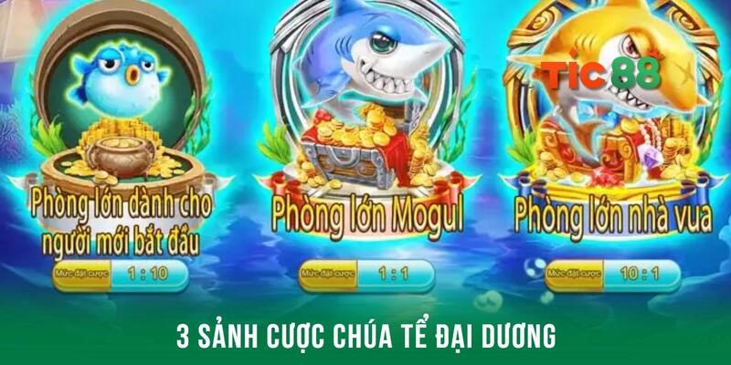 Khám phá game Chúa tể đại dương siêu đặc sắc tại Tic88 3 Tìm hiểu 3 cấp độ sảnh cược dành cho thành viên